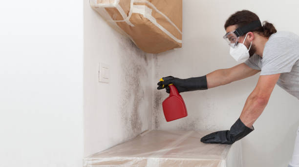 Attic Mold Remediation treatment on roof deck in Waconia